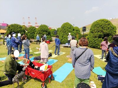 サイトハウンドフェス10G20