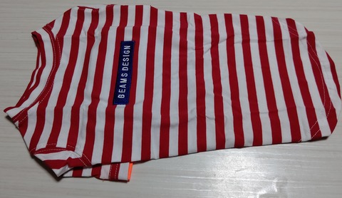 ビームスデザイン犬服イタグレ (1)