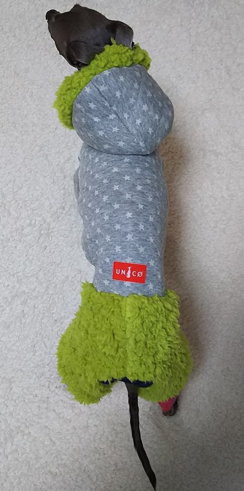 イタグレ服_こまり2