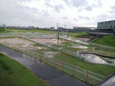 花園中央公園