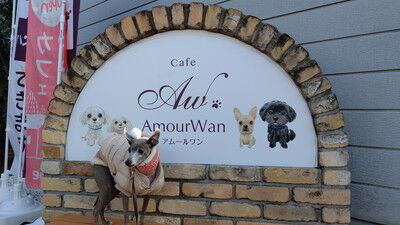アムールワンカフェ (1)