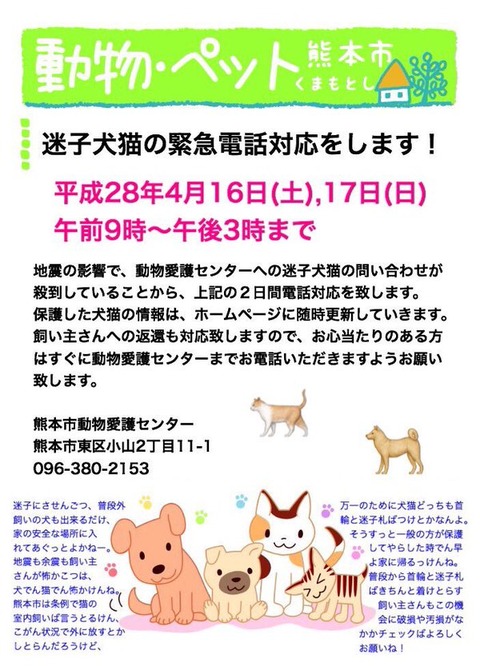 熊本迷犬迷猫緊急対応