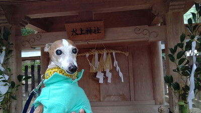 大瀧神社犬上神社 (1)