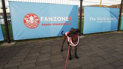 ラグビーワールドカップ花園ラグビー場 (8)