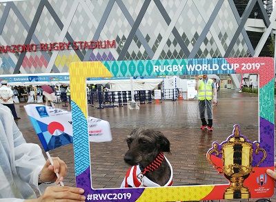 rwc2019_hanazono (1)