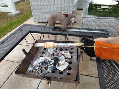 ドッググランピング滋賀高島イタグレバームクーヘン (6)