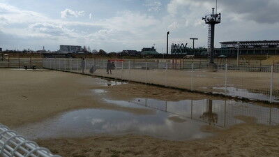 花園ドッグラン (5)