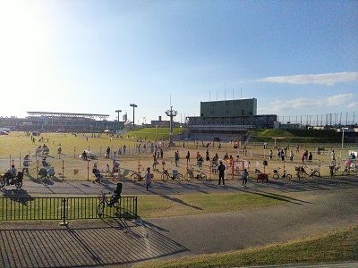 花園ドッグラン2