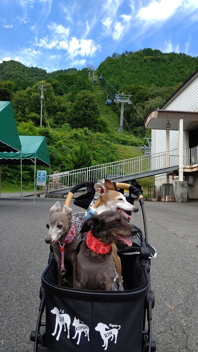 琵琶湖函館山ドッグラン (2)