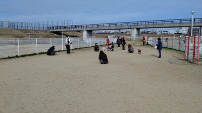 花園中央公園イタグレ (2)