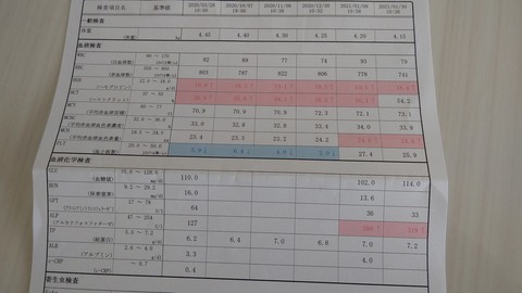 イタグレこまり介在性血小板減少症 (1)