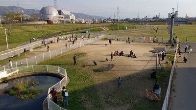 花園中央公園イタグレ3