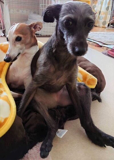 イタプーおっさん座り4