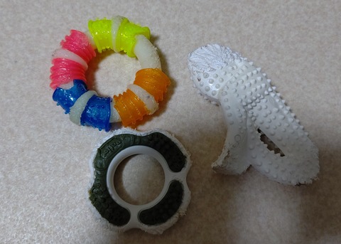 イタプー鈴りん (1)