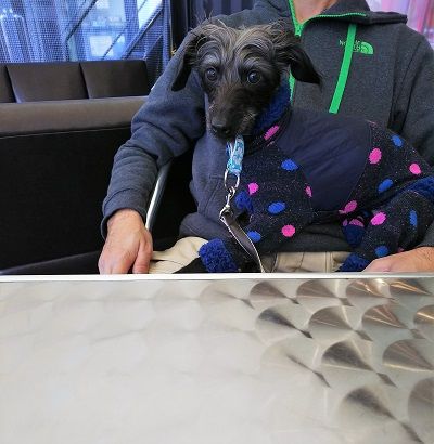 ジャンブルアップカフェ12