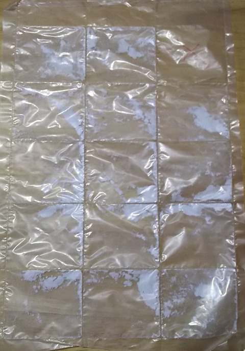 イタグレ_ジェイ6