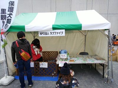 パートナードッグカーニバル30