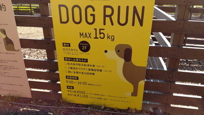 ロゴスランドドッグラン (6)