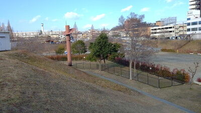 打上川治水緑地ドッグラン (3)