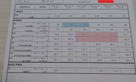 健康診断_こまり (4)