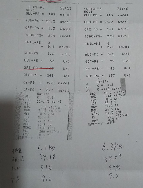 ジェイ_健康診断4