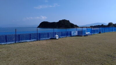 海の見えるラン_WistariaFieldDogRun (1)