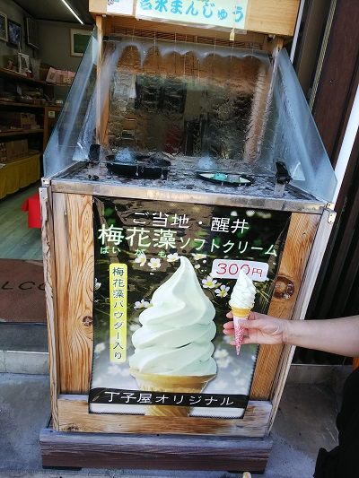 醒ヶ井梅花藻13