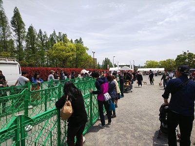 パートナードッグカーニバル23