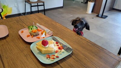 DOGRUNCAFE_ PIC (11)