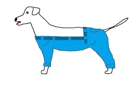 犬ズボン2