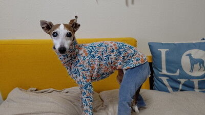 イタグレジェイ15歳誕生日 (4)