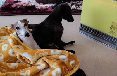 イタプーおっさん座り3