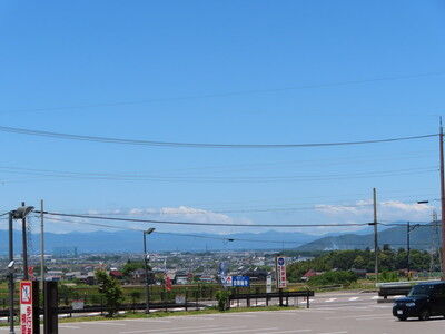 湖東三山ドッグラン (2)