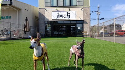 DOGRUNCAFE_ PIC (1)