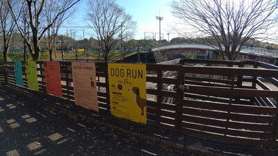 ロゴスランドドッグラン (5)