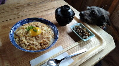 森のラッキーガーデン犬 (12)