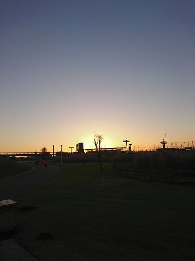 花園ラグビー場5