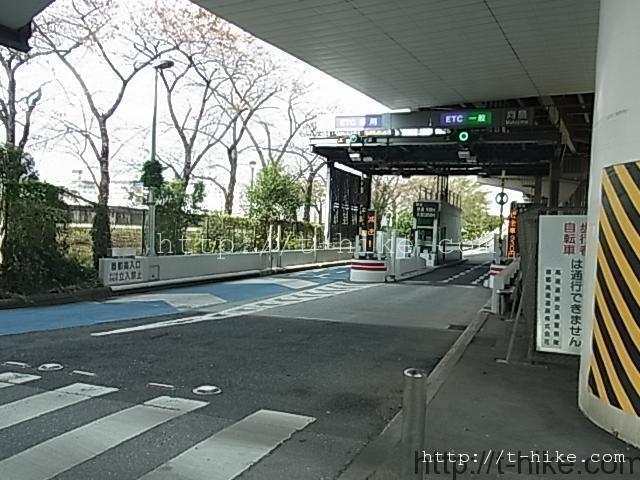 RIMG0668