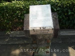RIMG0174