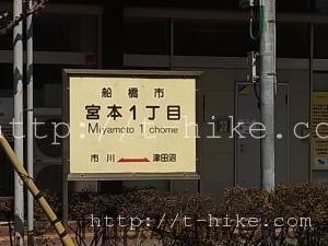 RIMG0248