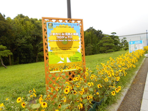 DSCN5937