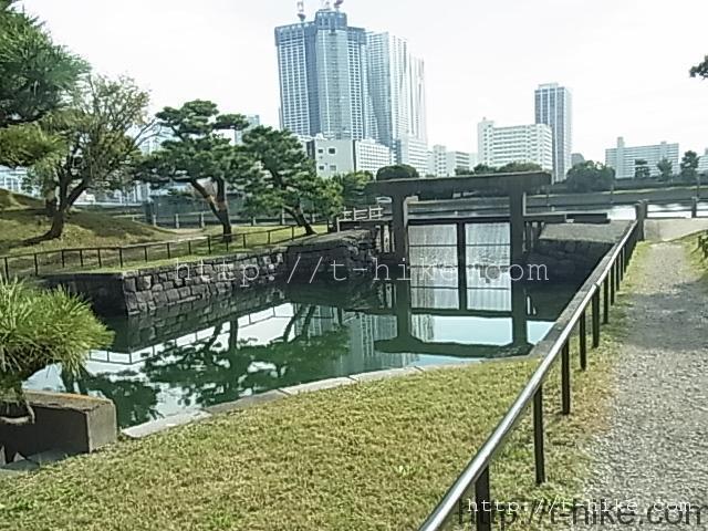 RIMG0388