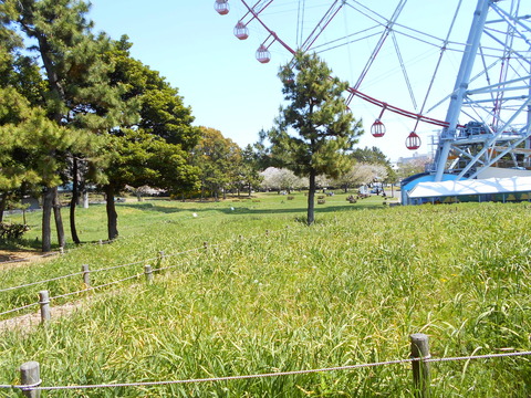 DSCN7321