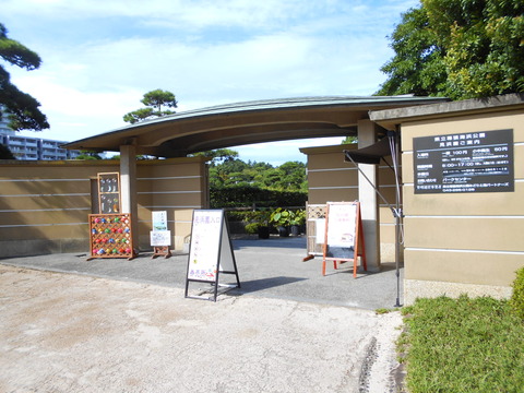 DSCN6116