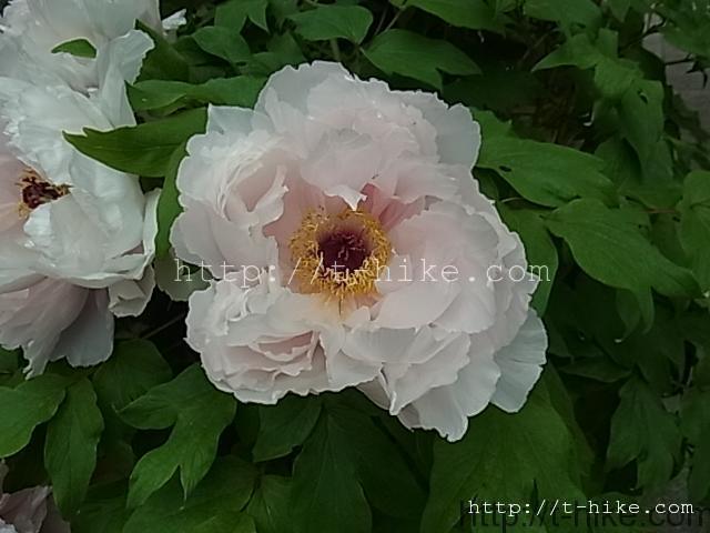 011