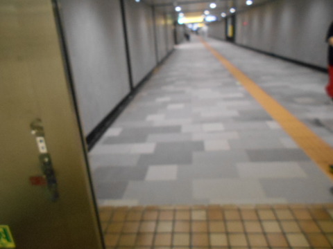 DSCN2618