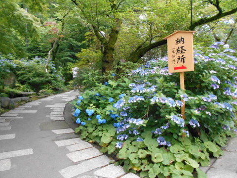 DSCN2772