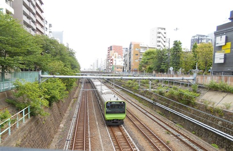 DSCN8250 (2)
