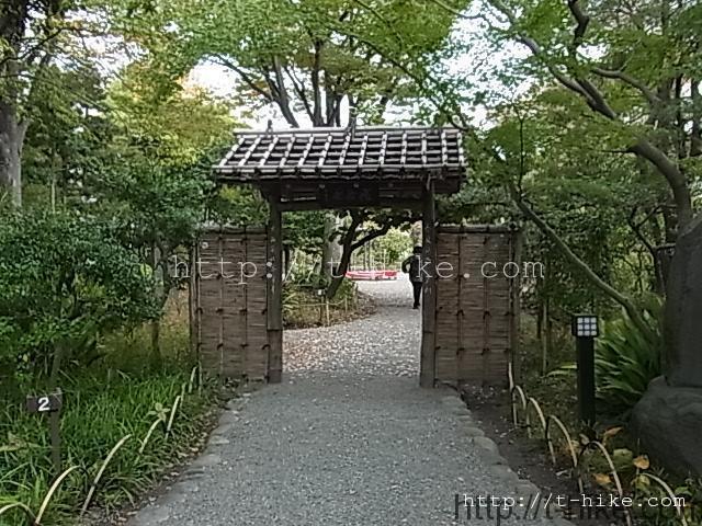 RIMG0607