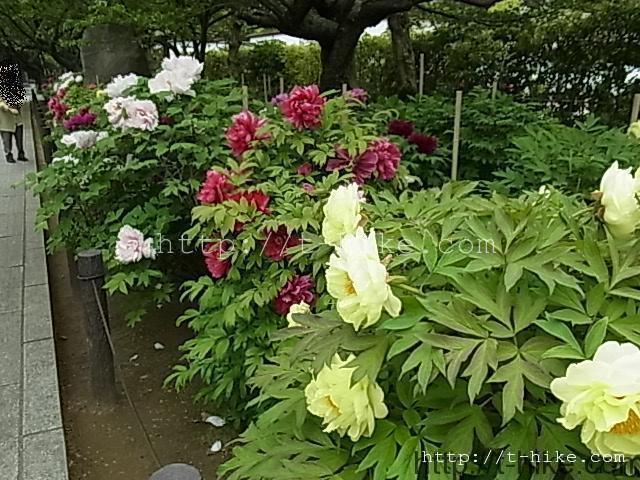 012